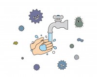 手洗い ウイルス…