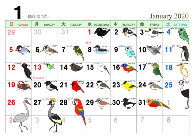 365日鳥だらけカレンダー１月 絵なし付き 無料イラスト素材 素材ラボ