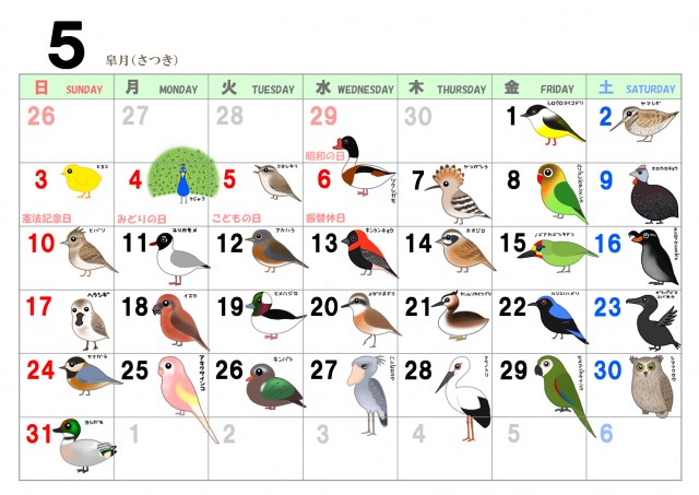 365日鳥だらけカレンダー５月 絵なし付き 無料イラスト素材 素材ラボ