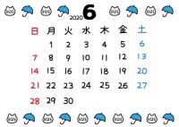 2020年ねこカ…