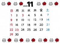 2020年ねこカ…