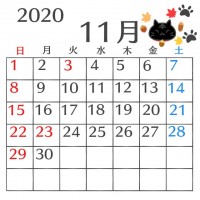 2020年１１月…