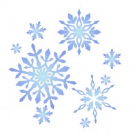 雪のワンポイント…