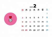 2020年猫顔カ…