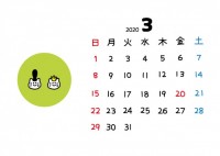 2020年猫顔カ…