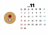 2020年猫顔カ…