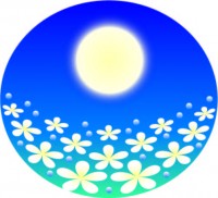 満月の夜のお花畑