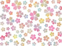 桜の花模様壁紙カ…