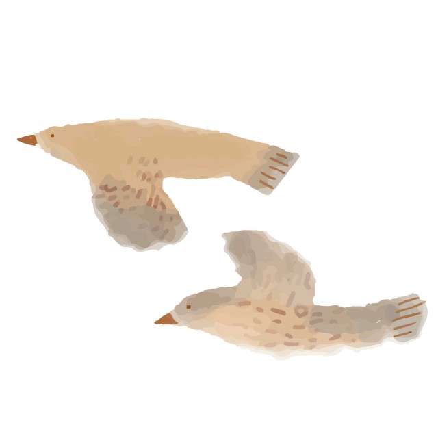 飛ぶ鳥 無料イラスト素材 素材ラボ