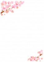 【桜】縦の満開お…