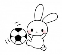 サッカーうさぎの…