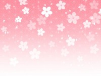桜の背景素材/ピ…
