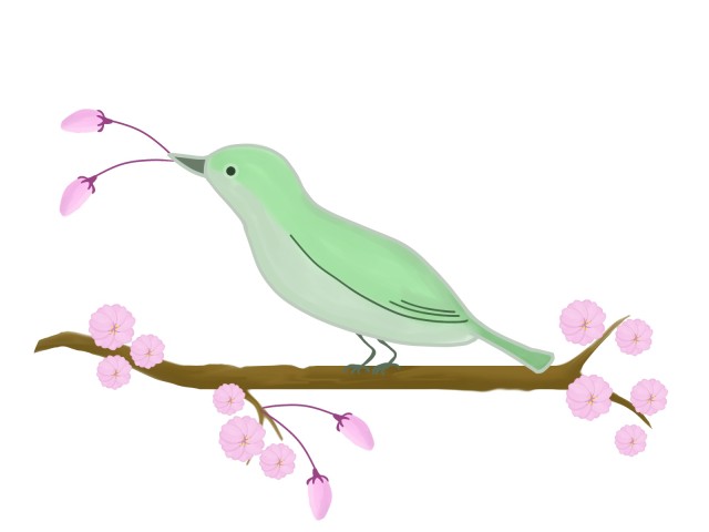 メジロと桜のイラスト 無料イラスト素材 素材ラボ