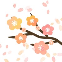 枝付きの梅の花吹…