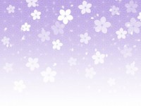 桜の背景素材/紫