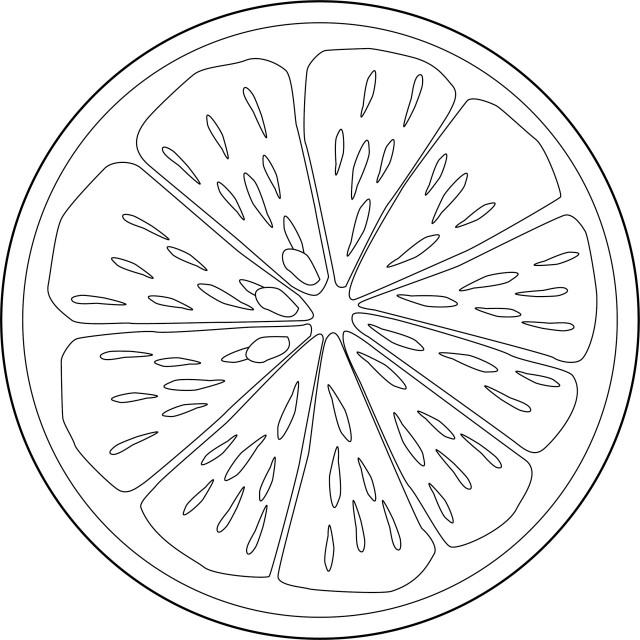 グレープフルーツ断面図の塗り絵 無料イラスト素材 素材ラボ