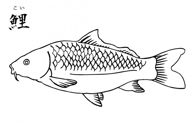 魚の塗り絵 コイ 無料イラスト素材 素材ラボ