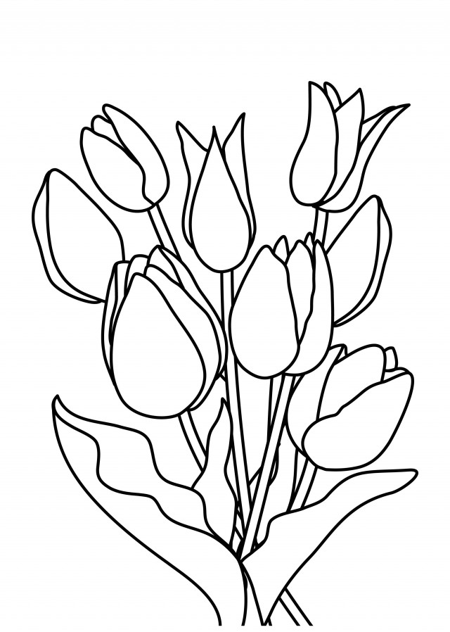 季節の塗り絵 春 3月 4月 チューリップの花束 無料イラスト素材 素材ラボ