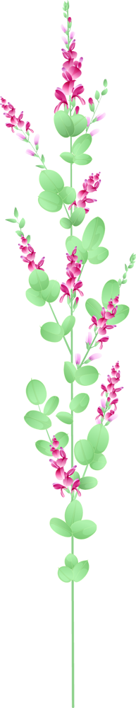 萩の花 Csai Png 無料イラスト素材 素材ラボ