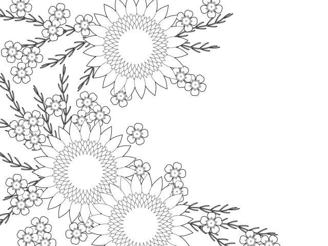 夏 の 花 イラスト 白黒 無料