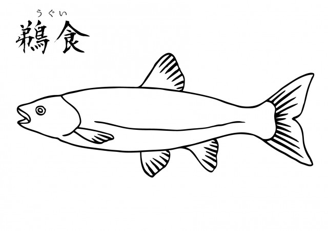 魚の塗り絵 ウグイ 無料イラスト素材 素材ラボ