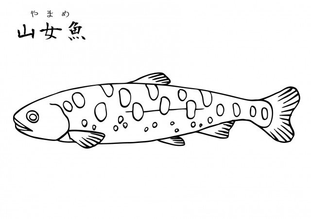 魚 イラスト 白黒 リアル