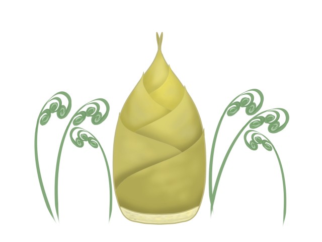筍と蕨のイラスト 無料イラスト素材 素材ラボ