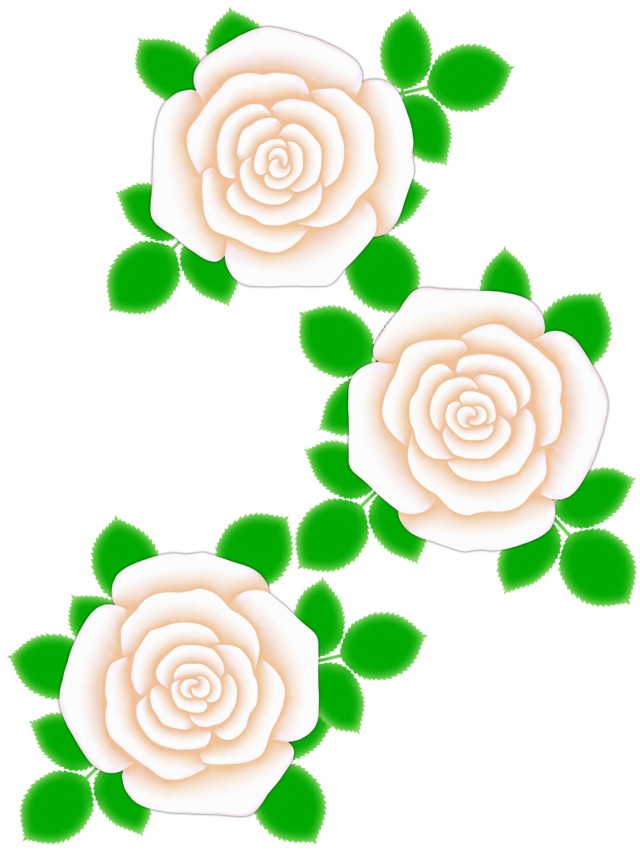 薔薇の花模様壁紙シンプル背景素材イラスト 無料イラスト素材 素材ラボ
