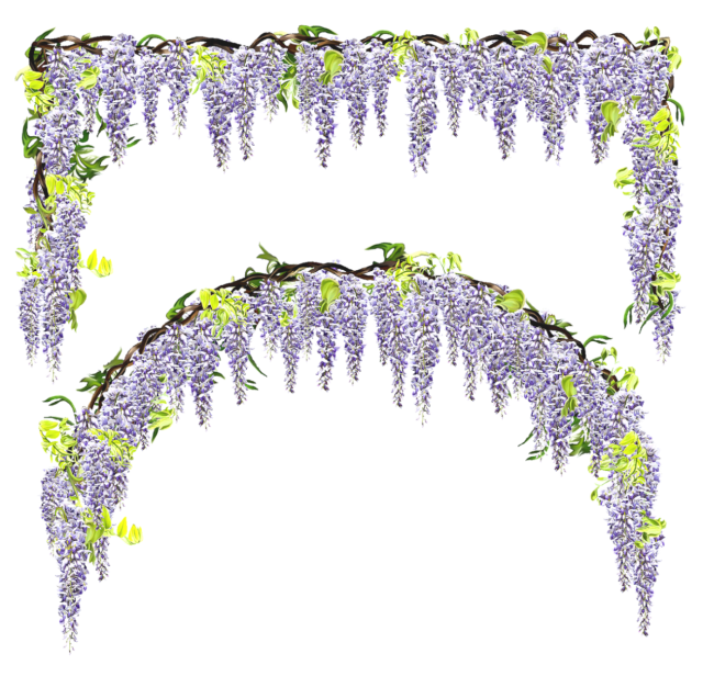 藤の花のフレーム 無料イラスト素材 素材ラボ