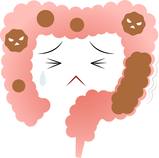 便秘気味な大腸 Csai Png 無料イラスト素材 素材ラボ