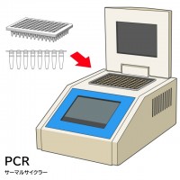 PCRサーマルサ…