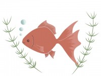 金魚のイラスト　…