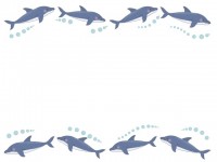 イルカのフレーム…