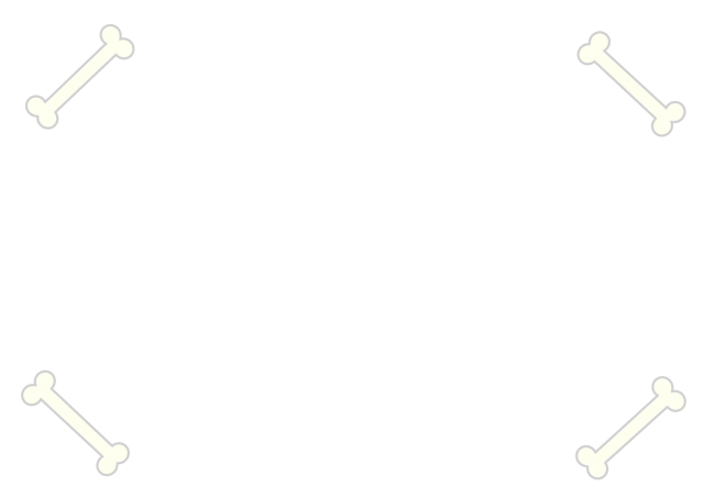 骨のフレーム Png 無料イラスト素材 素材ラボ 骨のフレーム Png 無料イラスト素材 素材ラボ