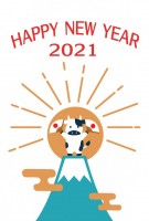 2021年丑年年…