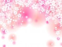 桜のイラスト背景