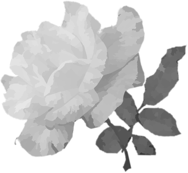バラの花の水彩素材 透過 白黒 無料イラスト素材 素材ラボ