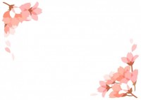 【春】桜花びらフ…