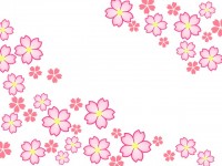 桜の花模様壁紙シ…