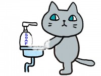 グレー猫　手洗い