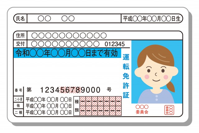 免許証 運転免許証 普通免許 女性 表面のみ 無料イラスト素材 素材ラボ