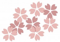 桜のカットイラス…