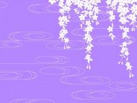桜の背景素材09…