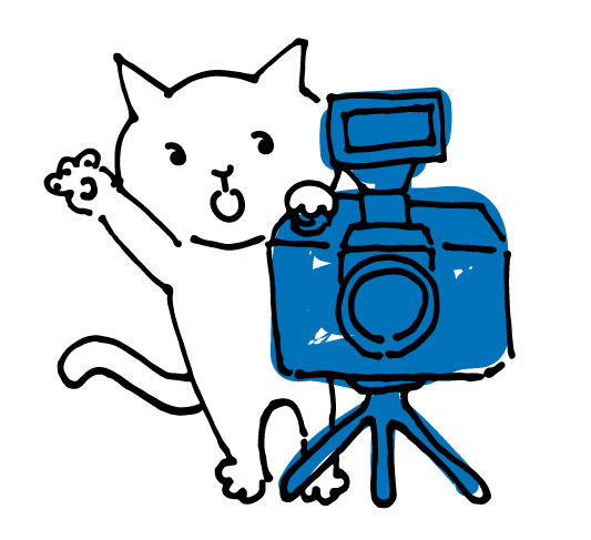 写真を撮影している白猫のイラスト 無料イラスト素材 素材ラボ