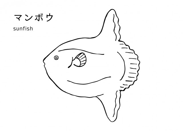 魚の塗り絵 マンボウ 無料イラスト素材 素材ラボ