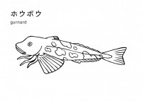 魚の塗り絵（ホウ…