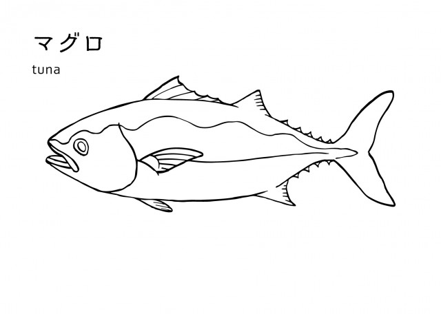 魚の塗り絵 マグロ 無料イラスト素材 素材ラボ