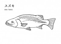 魚の塗り絵（スズ…