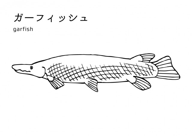 魚の塗り絵 ガ フィッシュ 無料イラスト素材 素材ラボ