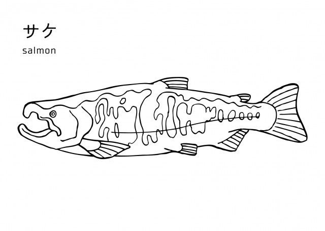 魚の塗り絵 サケ 無料イラスト素材 素材ラボ